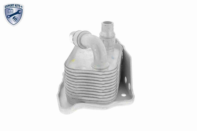VEMO V20-60-0031 Ölkühler, Motoröl Wassergekühlt für BMW