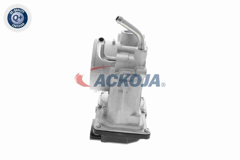 ACKOJA A52-81-0012 Drosselklappenstutzen für HYundAI