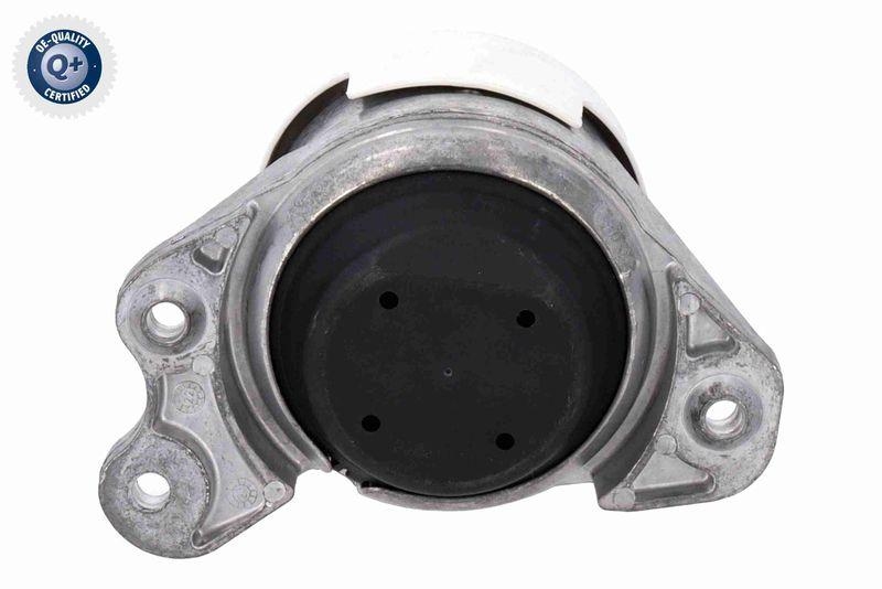 VAICO V30-3196 Lagerung, Motor Hydraulisch, rechts f&uuml;r MERCEDES-BENZ