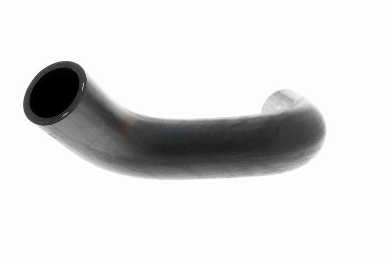 ACKOJA A63-1600 Kühlerschlauch für SUBARU