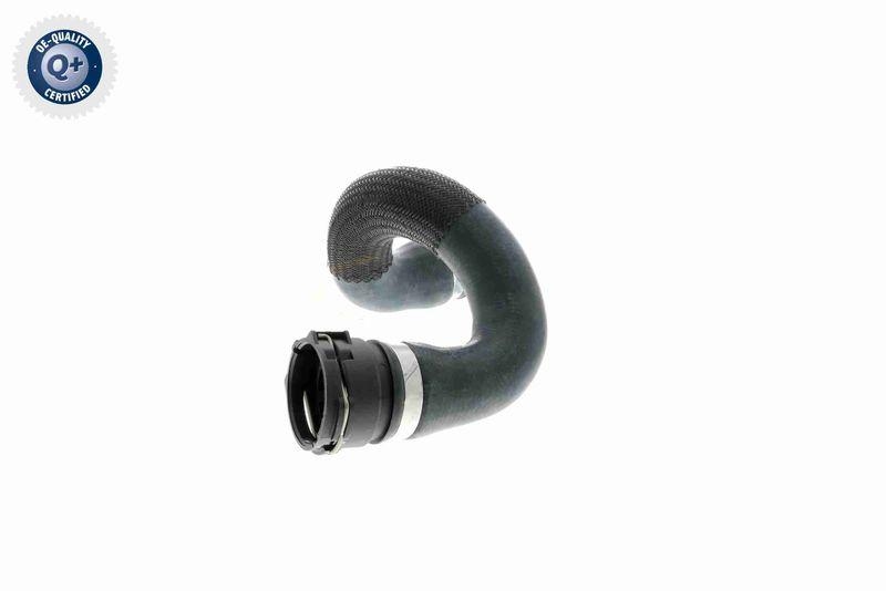 VAICO V20-1461 K&uuml;hlerschlauch unten f&uuml;r BMW