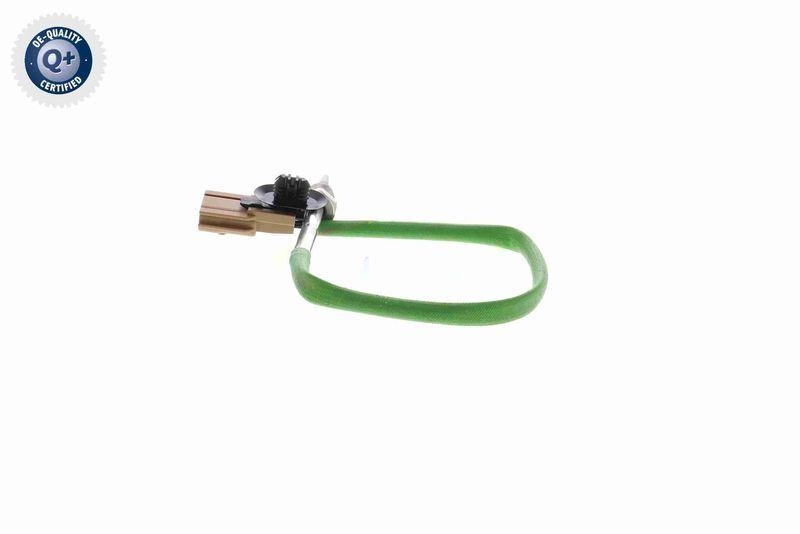 VEMO V46-72-0174 Sensor, Abgastemperatur 2-Polig, 255mm f&uuml;r RENAULT