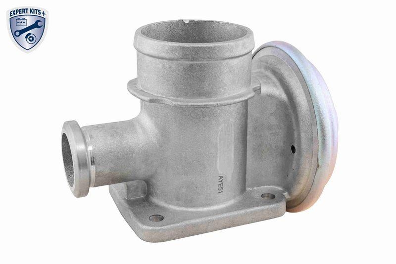 VEMO V20-63-0005 AGR-Ventil mit Dichtung f&uuml;r BMW