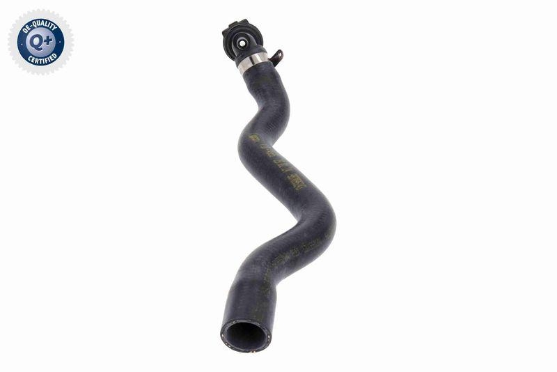 VAICO V10-4665 K&uuml;hlerschlauch f&uuml;r VW