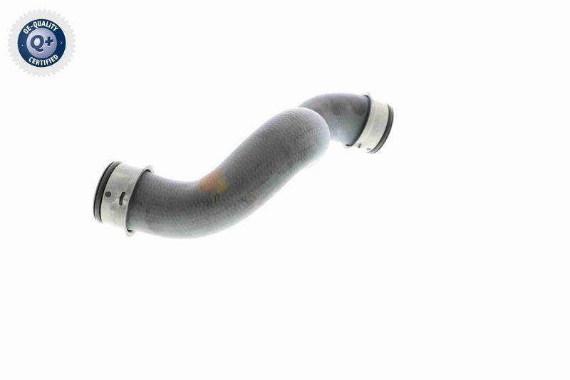 VAICO V30-2225 K&uuml;hlerschlauch rechts, unten f&uuml;r MERCEDES-BENZ