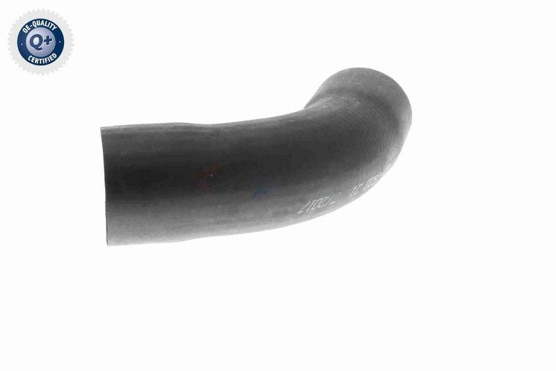 VAICO V20-1622 Ladeluftschlauch f&uuml;r BMW