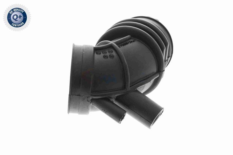 VAICO V20-1636 Ansaugschlauch, Luftfilter f&uuml;r BMW
