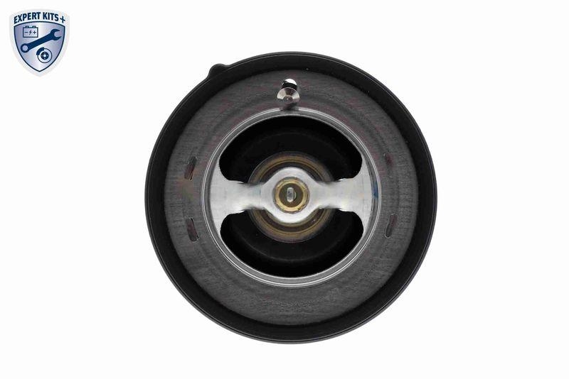 ACKOJA A52-99-0019 Thermostat, Kühlmittel für HYundAI