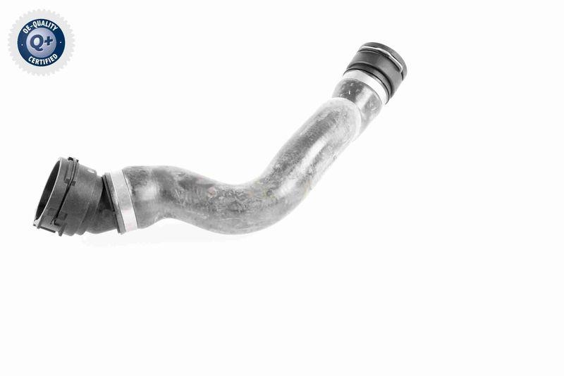 VAICO V20-1754 K&uuml;hlerschlauch f&uuml;r BMW