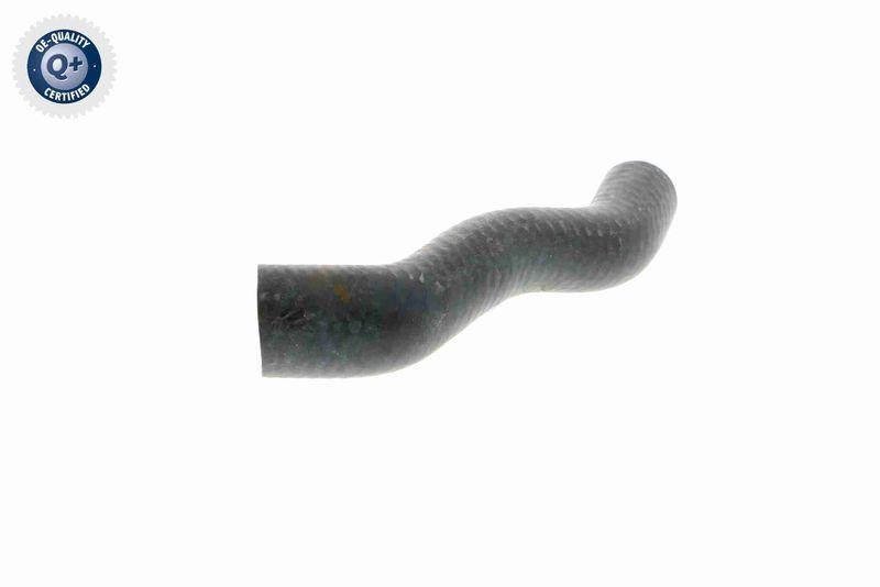 VAICO V20-1772 K&uuml;hlerschlauch f&uuml;r BMW