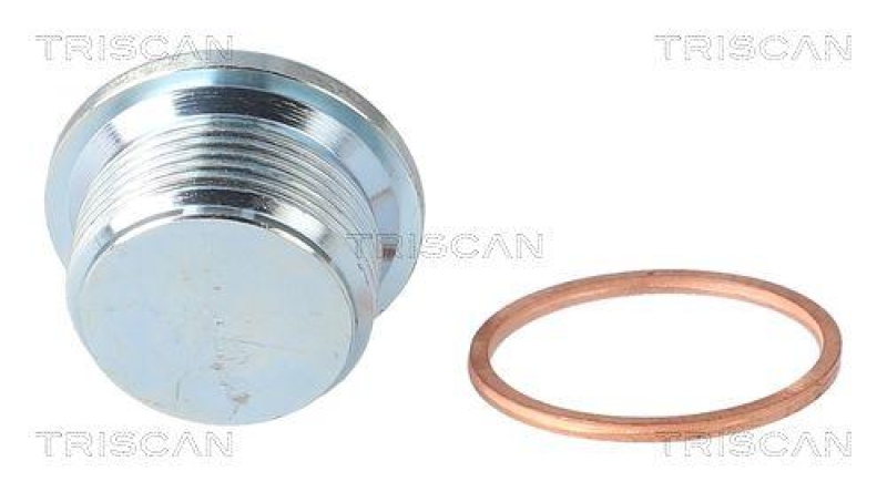 TRISCAN 9500 2301 &Ouml;lablassschraube f&uuml;r M26X1.5