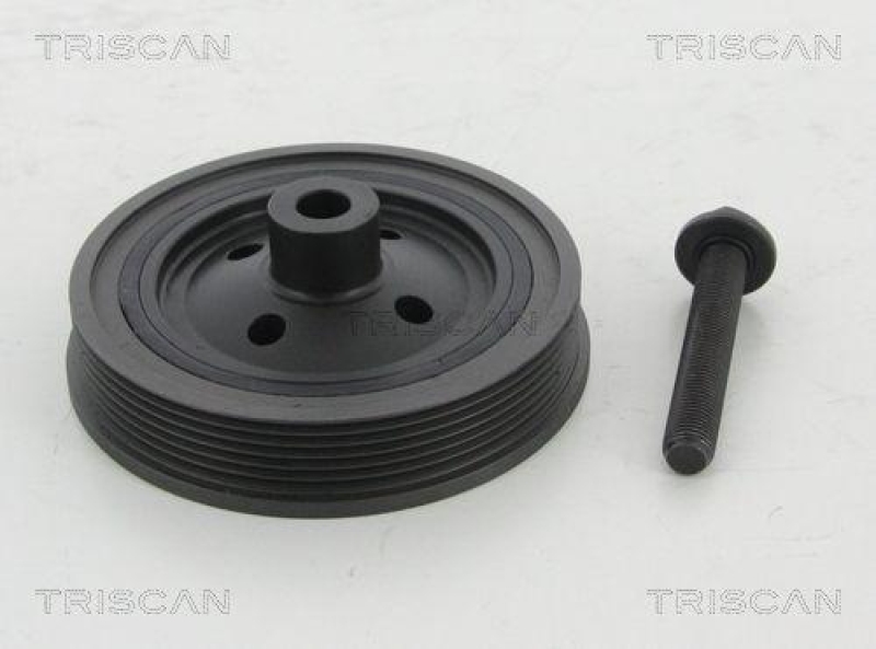 TRISCAN 8643 16002a Riemenscheibe für Ford
