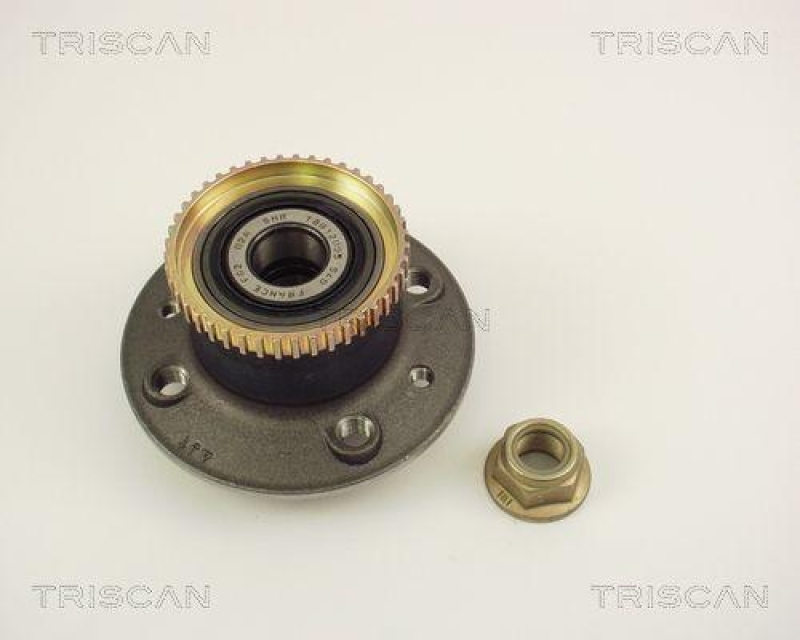 TRISCAN 8530 25236 Radlagersatz Hinten f&uuml;r Renault Megane Classic 2.