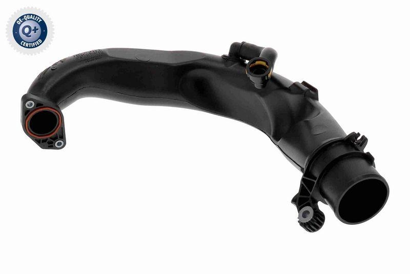 VAICO V46-1683 Ladeluftschlauch für RENAULT