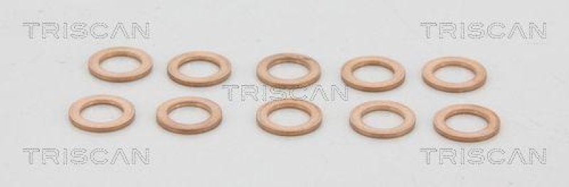 TRISCAN Unterlegscheibe