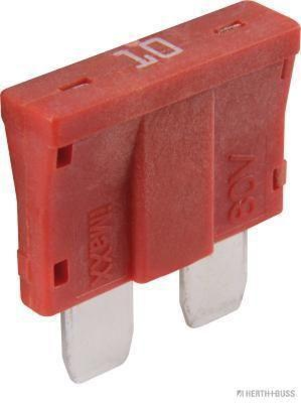 HERTH+BUSS 50295853 Sicherung Standard, 80 V, 10 A