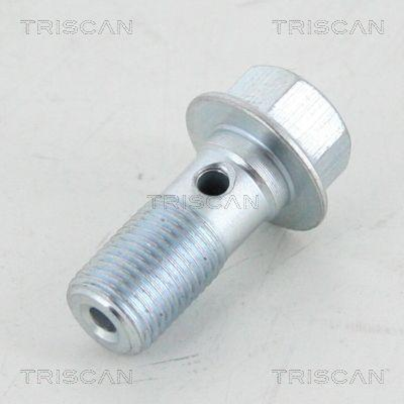 TRISCAN 8105 3256 Hohlschraube für M10 X 1, 12 X 31