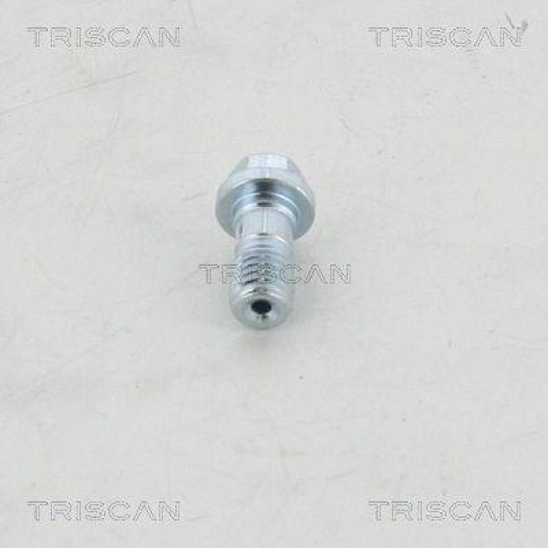 TRISCAN Hohlschraube
