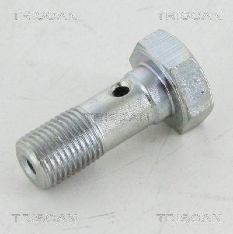 TRISCAN Hohlschraube