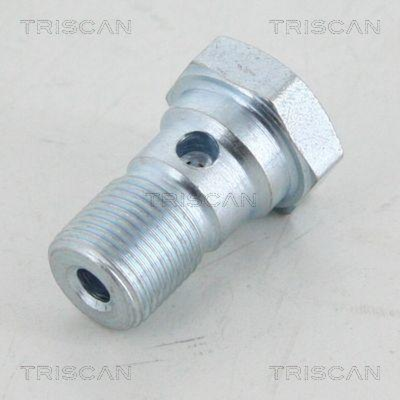 TRISCAN Hohlschraube