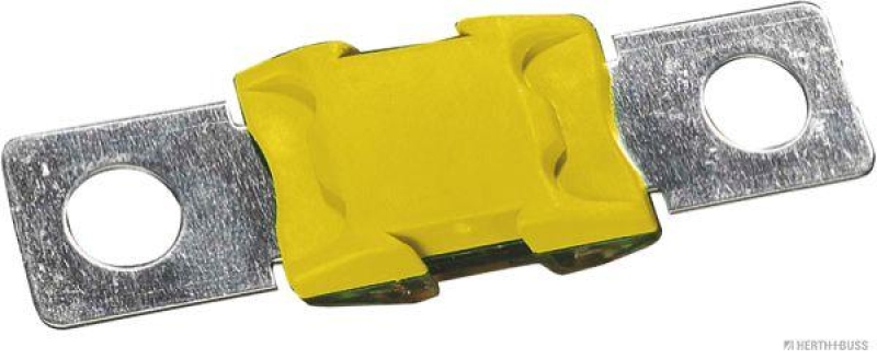HERTH+BUSS 50295870 Sicherung MEGA, 100 A