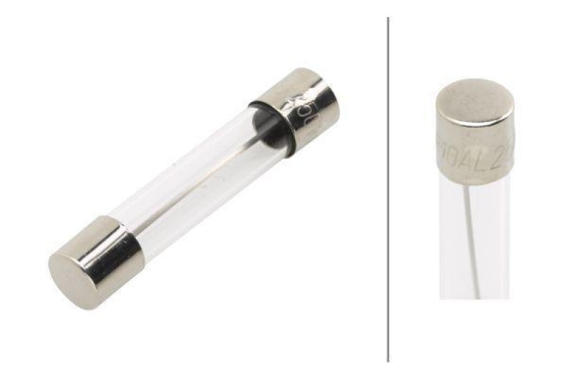 HELLA 8JS 713 805-003 Sicherung D 54, 10 A, Set glasklar