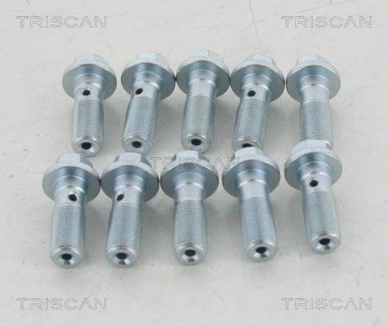 TRISCAN Hohlschraube