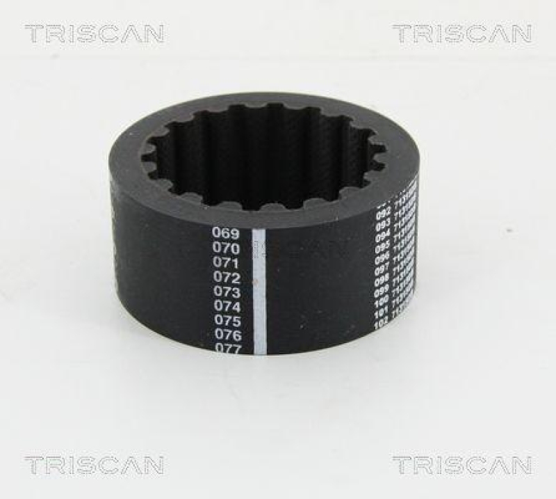 TRISCAN 8640 eg1 Flexible Kupplungsmuffe