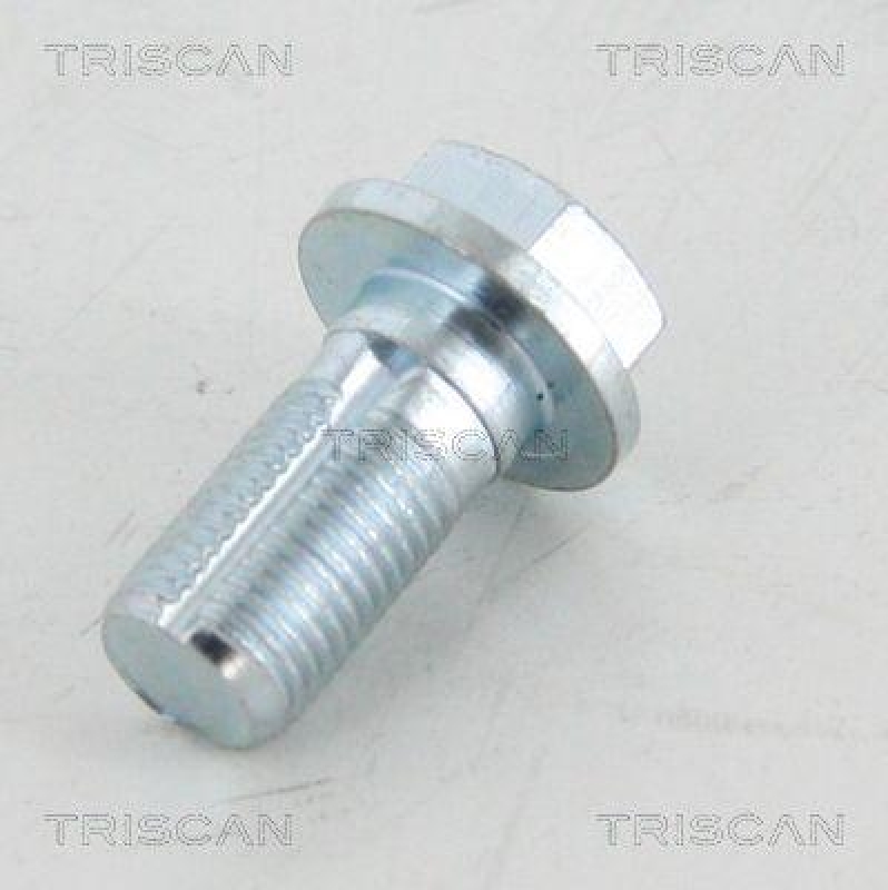 TRISCAN Hohlschraube