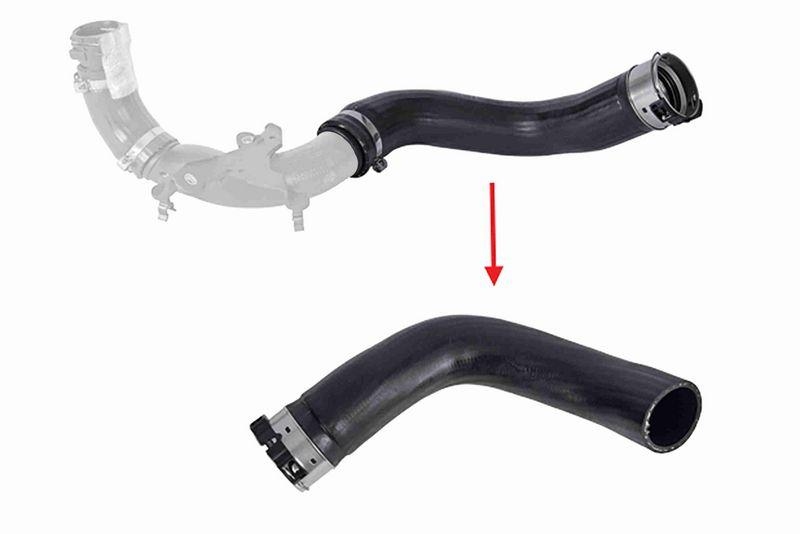 VAICO V46-1725 Ladeluftschlauch f&uuml;r RENAULT