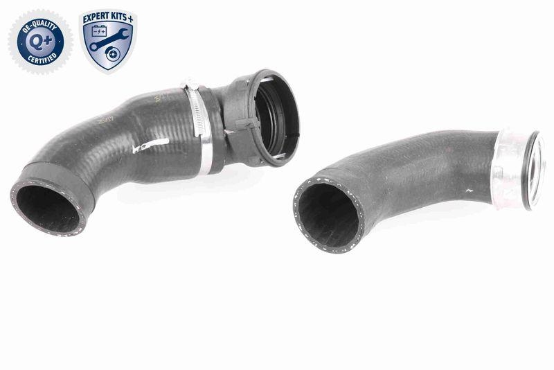 VAICO V20-2970 Ladeluftschlauch f&uuml;r BMW