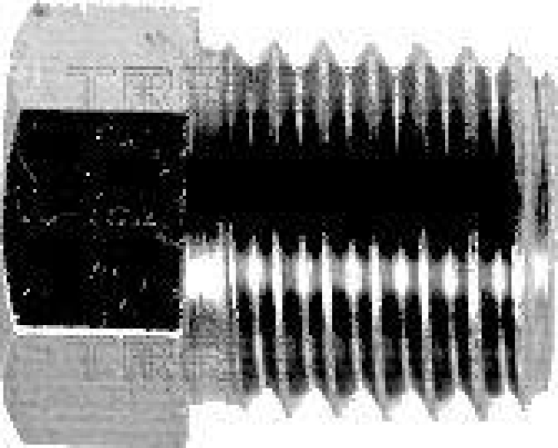 TRISCAN Überwurfschraube