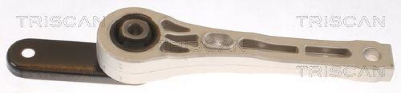 TRISCAN 8505 29131 Motoraufh&auml;ngung f&uuml;r Audi, Vw