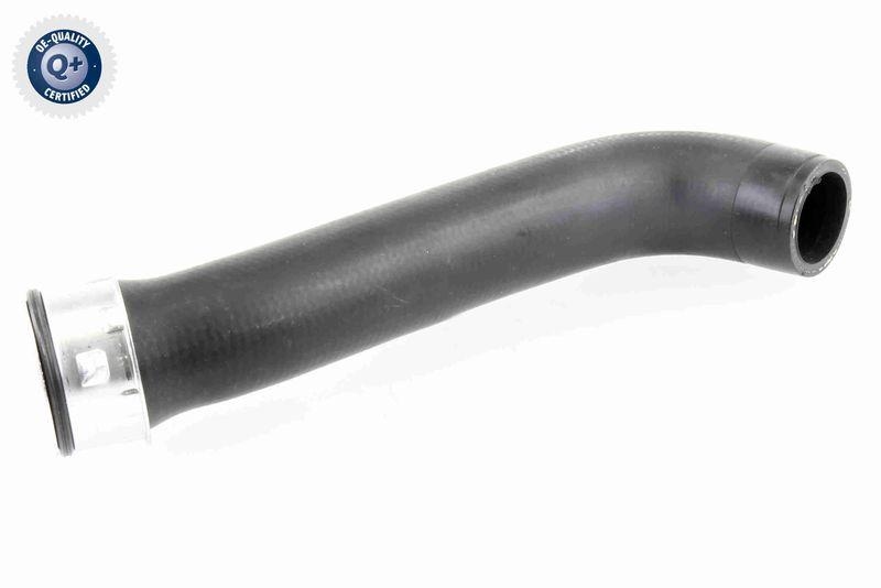 VAICO V10-3760 Ladeluftschlauch f&uuml;r VW