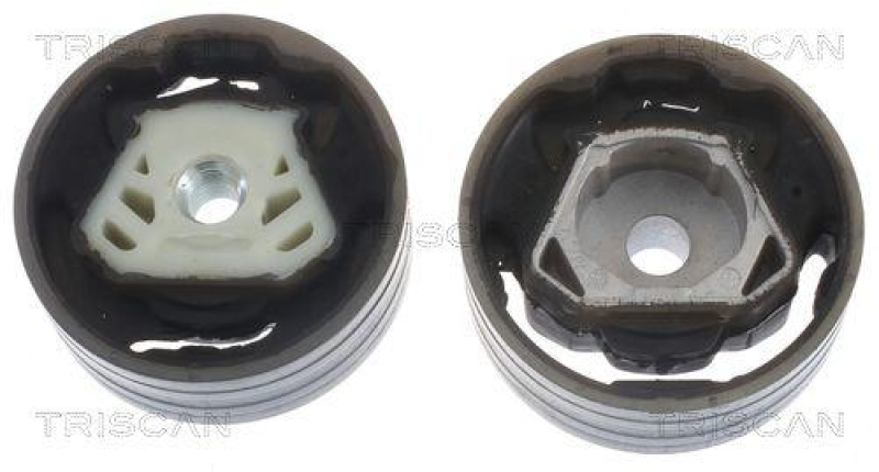 TRISCAN 8505 29137 Motoraufh&auml;ngung f&uuml;r Audi, Seat, Skoda, Vw