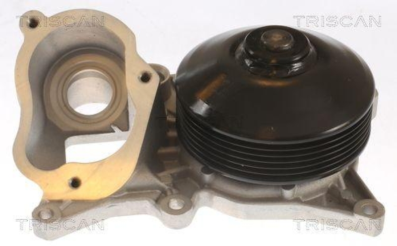 TRISCAN 8600 11060 Wasserpumpe f&uuml;r Bmw