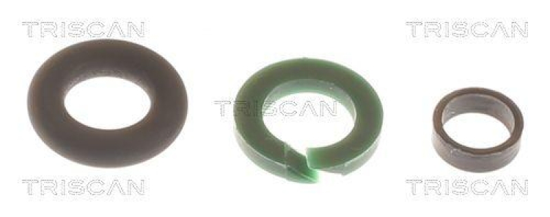TRISCAN 596-1007 Dichtungssatz, Einspritzdüse