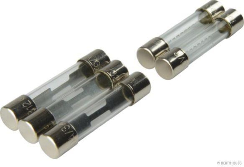 HERTH+BUSS 50296155066 Sicherungssatz Glas, 5 - 30 A, 5 pcs