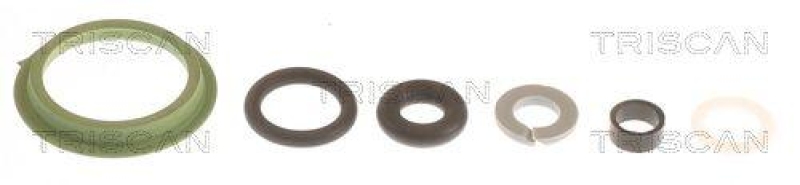 TRISCAN 596-1008 Dichtungssatz, Einspritzd&uuml;se