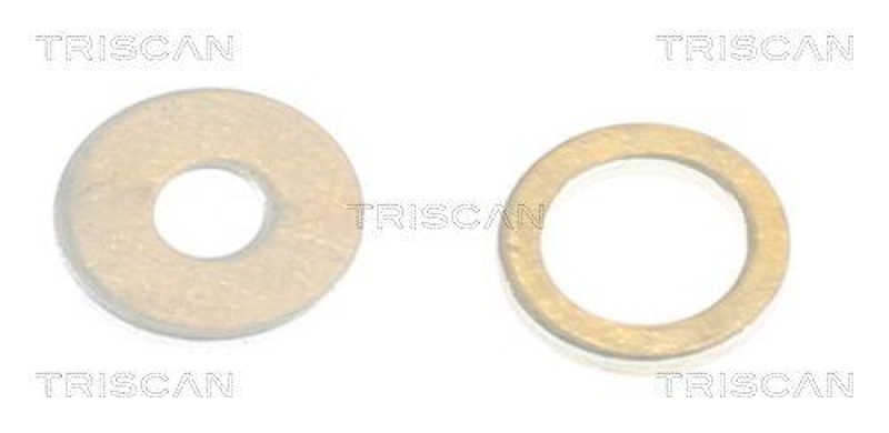 TRISCAN 596-1010 Dichtungssatz, Einspritzd&uuml;se