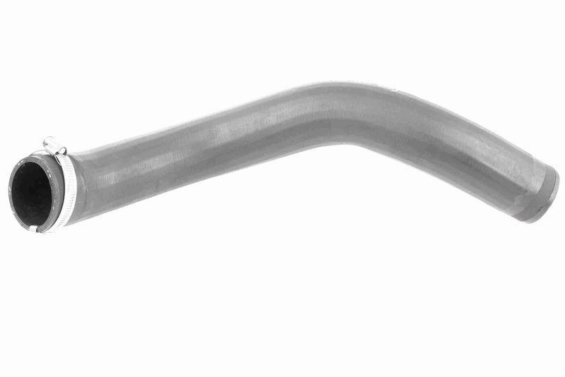 VAICO V10-3777 Ladeluftschlauch für VW