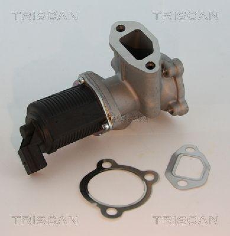 TRISCAN 8813 10003 Agr Ventil f&uuml;r Psa/Fiat/Gm