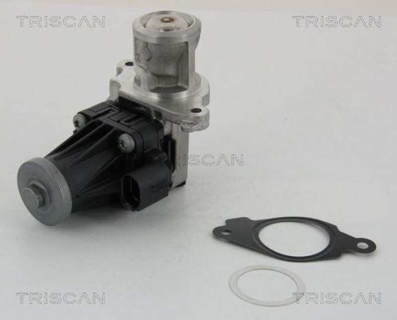TRISCAN 8813 10004 Agr Ventil f&uuml;r Psa/Fiat/Gm