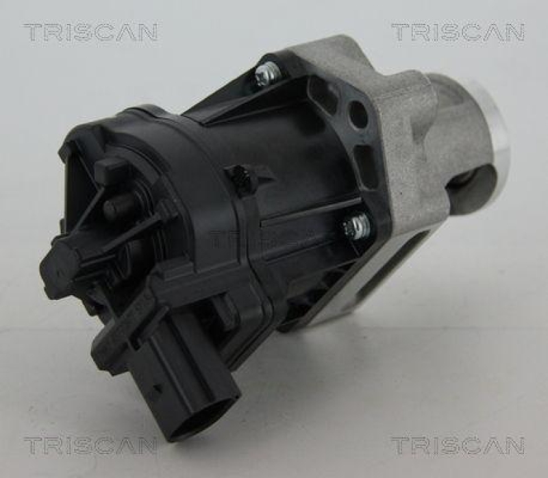 TRISCAN 8813 10006 Agr Ventil f&uuml;r Psa/Fiat/Gm