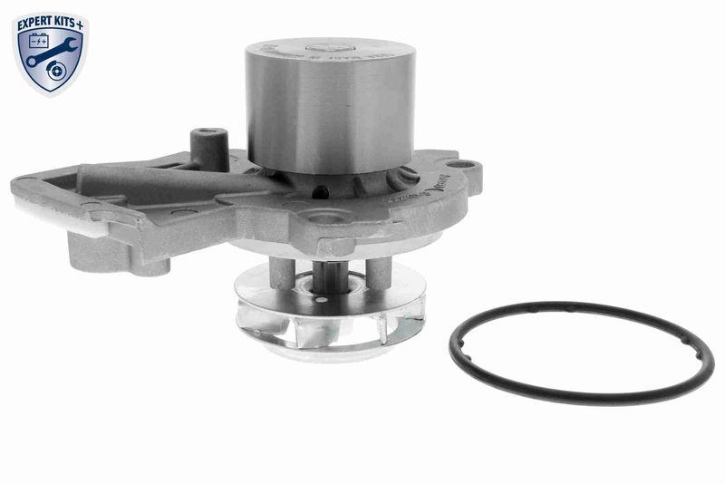 VAICO V10-50103 Wasserpumpe, Motork&uuml;hlung mit Dichtungssatz f&uuml;r VW