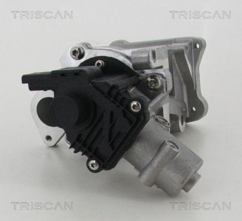 TRISCAN 8813 10007 Agr Ventil f&uuml;r Ford/Volvo/Mazda
