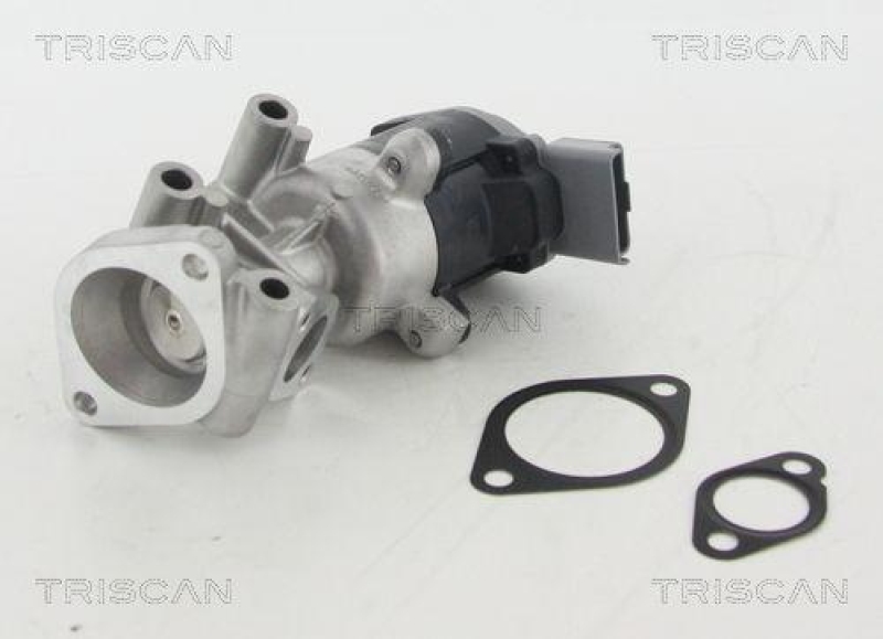 TRISCAN 8813 10009 Agr Ventil f&uuml;r Psa/Fiat/Gm
