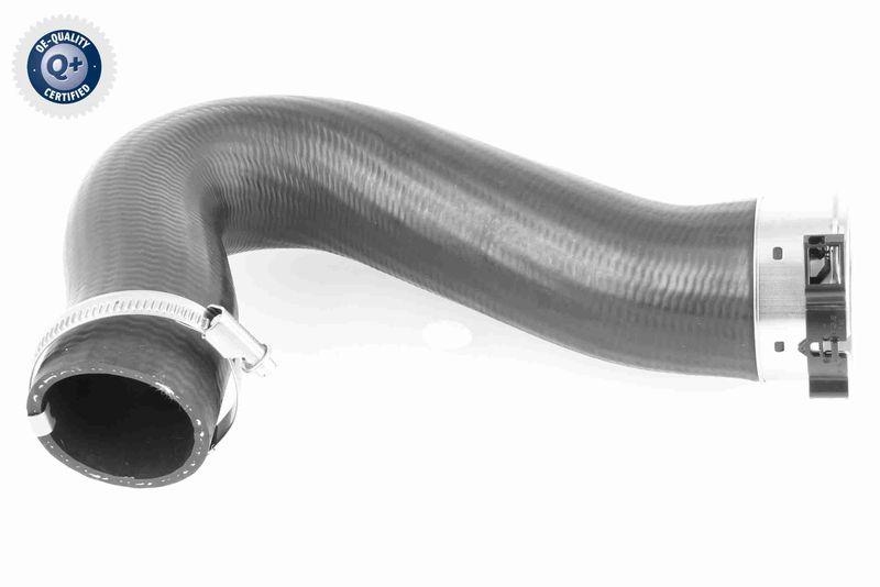 VAICO V10-3782 Ladeluftschlauch f&uuml;r VW