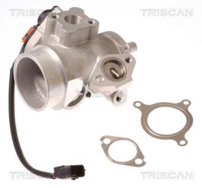 TRISCAN 8813 10012 Agr Ventil f&uuml;r Nissan/Renault/Opel