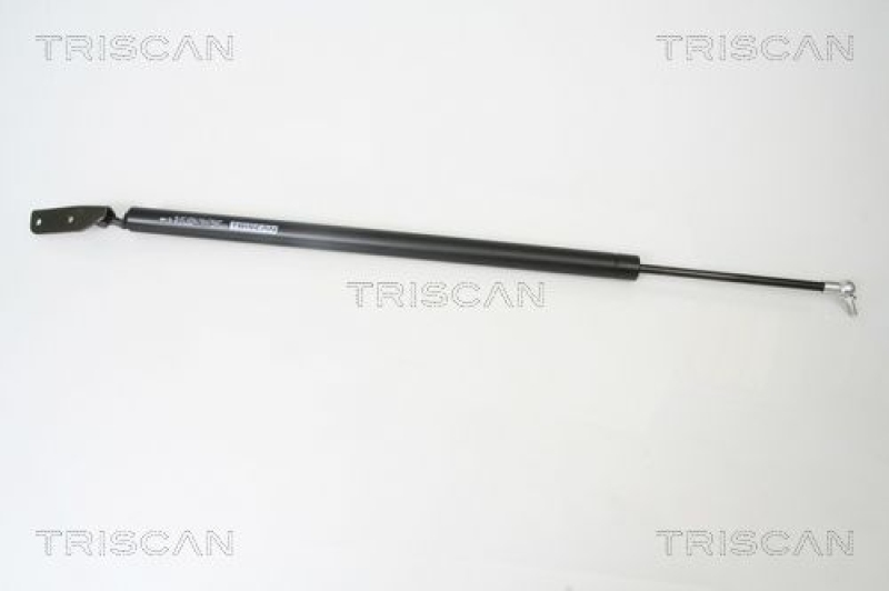 TRISCAN 8710 42230 Gasfeder Hinten für Mitsubishi L400